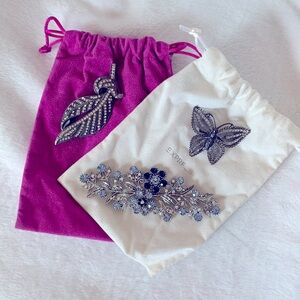 Express Women’s Jewelry Brooches Bundle